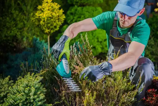 landscaping services Woodson Terrace